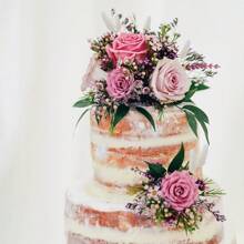 60/120 Pezzi di Fiori Naturali Essiccati per Decorazione, Fiori di Erba di Coda di Coniglio Naturali Essiccati, Erba di Pampas Essiccata, Utilizzati per Decorazione Domestica, Decorazione Matrimonio, Decorazione Festa, Artigianato Fai-da-te, Accessori per Servizi Fotografici, Decorazione a Tema, 45cm (Bianco)