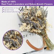 100 Pcs Of Natural-Dried Lavender, Chrysanthemum And Star Flower Bouquets. DIY Handmade Decorative Flowers For Home Or Wedding.  Decoration Flowers In The Style Of Valentine's Day Gift - Nhiều màu - Xem 8