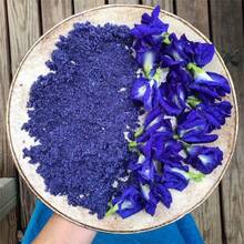 50 piezas de semillas de flor de guisante mariposa - Cultiva tus propias hermosas flores azules - Semillas de vid de guisante mariposa azul (Clitoria Ternatea), púrpura - 50 piezas - Ver 1