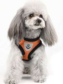 Pet Mesh Strap Sandwich Breathable Four Seasons Universal Cat And Dog Traction Rope Collar Dog Chain