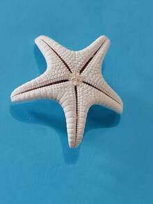 2 件/4 件干海星装饰，7-10 厘米白色巨型海星，适用于海滩婚礼中心装饰，散装海洋标本海星，海洋主题派对树脂海星用品，沿海家居装饰海星，水族馆装饰品和波西米亚风 DIY 工艺品，适用于航海主题派对的海星，摄影道具和贝壳壁挂 - 彩色 - 查看 8