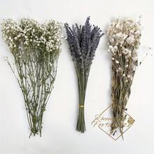 100 Pcs Of Natural-Dried Lavender, Chrysanthemum And Star Flower Bouquets. DIY Handmade Decorative Flowers For Home Or Wedding.  Decoration Flowers In The Style Of Valentine's Day Gift - Nhiều màu - Xem 4