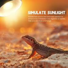 Reptile Heat Lamp 100W 220-240V Daylight Basking Spot Bulb And Infrared Heat E27 R80 For Reptiles, Lizards, Turtles, Chicks, Puppies