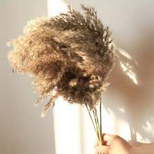 10/15 件人造蒲苇 - 不脱落的蒲苇花瓶填充物，多用途装饰，适合圣诞节、感恩节、新年、情人节、母亲节 - 非常适合婚礼、派对、波西米亚风格家居和农舍中心装饰