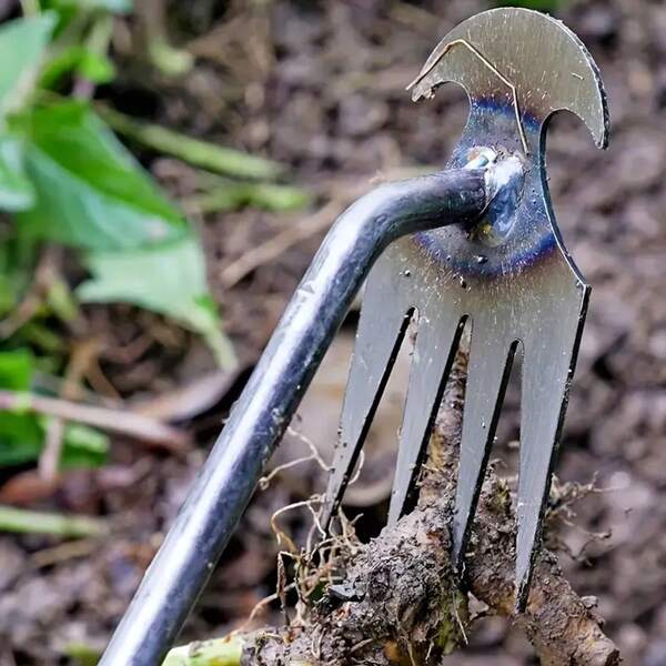 1 Stück Manganstahl 4-Zinken-Wiedingwerkzeug - Zieht Unkraut an der Wurzel, loosens Boden, Digs Wildgemüse, handgehaltener Garten & landwirtschaftlicher Mini-Rake