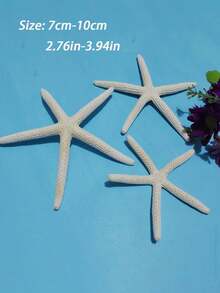 2 件/4 件干海星装饰，7-10 厘米白色巨型海星，适用于海滩婚礼中心装饰，散装海洋标本海星，海洋主题派对树脂海星用品，沿海家居装饰海星，水族馆装饰品和波西米亚风 DIY 工艺品，适用于航海主题派对的海星，摄影道具和贝壳壁挂 - 彩色 - 查看 5