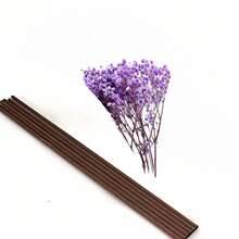 10/20/30/40/50pcs Preserved Flower, Cotton & Reed Diffuser Set, Clean Linen Scented Essential Oil Diffuser With Rattan Sticks For Bathroom Shelf Decoration