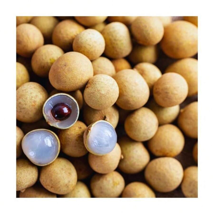 180 piezas de semillas de árbol de fruta longan, adecuadas para plantación al aire libre, 60 semillas de fruta dulce - 180 - Ver 1