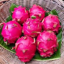 Fruta de Dragón Roja Fruta Tropical Fruta Dulce y Jugosa Comida Cruda Buena Fuente de Vitaminas al Aire Libre 100 Piezas de Semillas de Fruta - Variante 1 - Ver 5