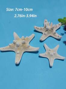 2 件/4 件干海星装饰，7-10 厘米白色巨型海星，适用于海滩婚礼中心装饰，散装海洋标本海星，海洋主题派对树脂海星用品，沿海家居装饰海星，水族馆装饰品和波西米亚风 DIY 工艺品，适用于航海主题派对的海星，摄影道具和贝壳壁挂 - 彩色 - 查看 4