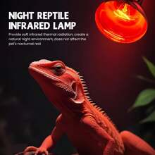 Reptile Heat Lamp 100W 220-240V Daylight Basking Spot Bulb And Infrared Heat E27 R80 For Reptiles, Lizards, Turtles, Chicks, Puppies
