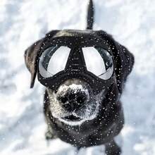 Pet Mini Facemask Goggles, Waterproof Anti-Snow Anti-Wind Soft Frame Protective Glasses For Dogs - Black - View 3