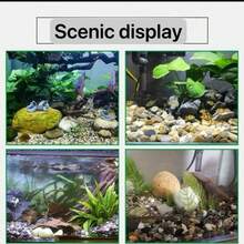 1pc 300g/500g/800g 0.4~0.8cm Natural River Rock Decor Mix Color Pebbles, Suitable For Potted Plants, Aquarium, Landscape, Vase Filler, Succulent, Air Plants, Cactus, Moss - pea stone - View 8