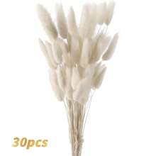 60/120 Pezzi di Fiori Naturali Essiccati per Decorazione, Fiori di Erba di Coda di Coniglio Naturali Essiccati, Erba di Pampas Essiccata, Utilizzati per Decorazione Domestica, Decorazione Matrimonio, Decorazione Festa, Artigianato Fai-da-te, Accessori per Servizi Fotografici, Decorazione a Tema, 45cm (Bianco)