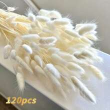 60/120 Pezzi di Fiori Naturali Essiccati per Decorazione, Fiori di Erba di Coda di Coniglio Naturali Essiccati, Erba di Pampas Essiccata, Utilizzati per Decorazione Domestica, Decorazione Matrimonio, Decorazione Festa, Artigianato Fai-da-te, Accessori per Servizi Fotografici, Decorazione a Tema, 45cm (Bianco)
