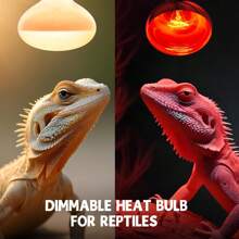 Reptile Heat Lamp 100W 220-240V Daylight Basking Spot Bulb And Infrared Heat E27 R80 For Reptiles, Lizards, Turtles, Chicks, Puppies