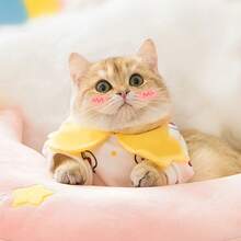 Pet Sweatshirts & Hoodies - 2021新款-活力貓咪 - 查看 6