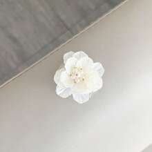 3D 花卉手机支架，可爱小巧的桌面支架，兼容智能手机，兼容 、Android 手机，生日、家人、朋友的礼物，推拉式手机支架，手机配件