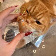 1 个宠物毛发收集瓶，透明瓶子，带有创意猫咪图案，可以保存宠物毛发作为纪念品 - 彩色 - 查看 4