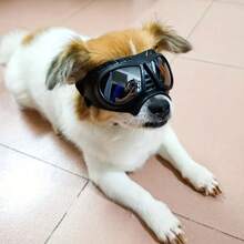 Pet Mini Facemask Goggles, Waterproof Anti-Snow Anti-Wind Soft Frame Protective Glasses For Dogs - Black - View 1