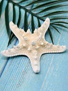 2 件/4 件干海星装饰，7-10 厘米白色巨型海星，适用于海滩婚礼中心装饰，散装海洋标本海星，海洋主题派对树脂海星用品，沿海家居装饰海星，水族馆装饰品和波西米亚风 DIY 工艺品，适用于航海主题派对的海星，摄影道具和贝壳壁挂 - 彩色 - 查看 2