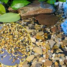 1pc 300g/500g/800g 0.4~0.8cm Natural River Rock Decor Mix Color Pebbles, Suitable For Potted Plants, Aquarium, Landscape, Vase Filler, Succulent, Air Plants, Cactus, Moss - pea stone - View 3
