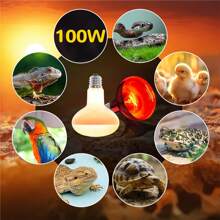 Reptile Heat Lamp 100W 220-240V Daylight Basking Spot Bulb And Infrared Heat E27 R80 For Reptiles, Lizards, Turtles, Chicks, Puppies