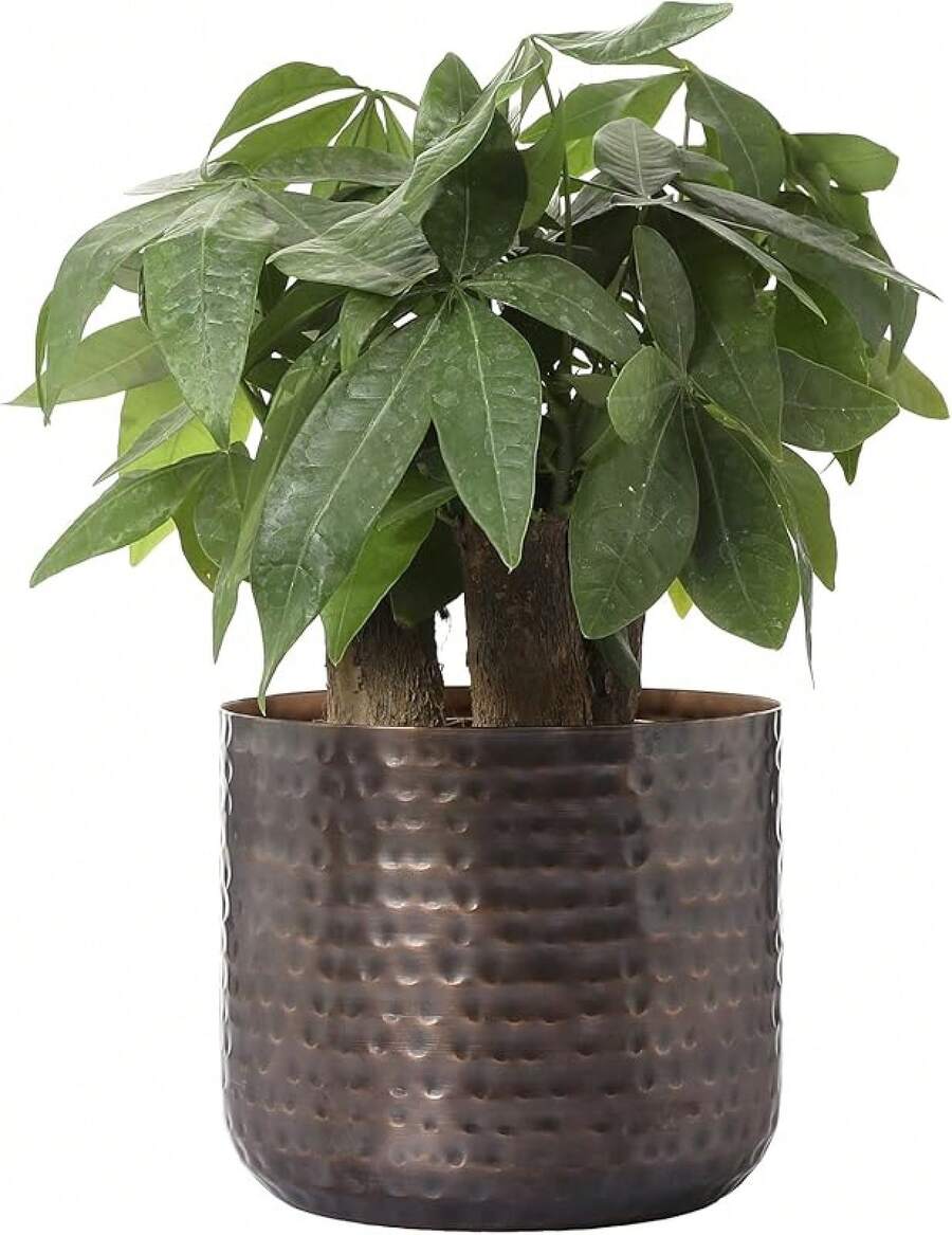 Jarrón de metal de tono cobre clásico de 6 pulgadas, maceta con textura martillada, contenedor cilíndrico para plantas suculentas para interiores, hecho a mano en la India - Cobre antiguo - Ver 1