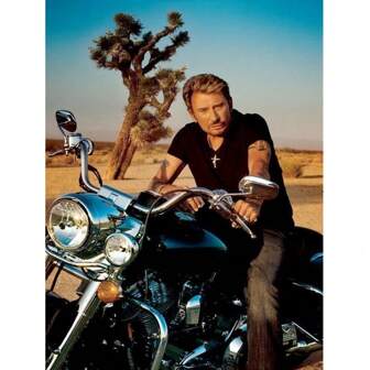 DIY Diamond Painting Set, 5D Mosaic Round Diamond Artificial Diamond French Rock Singer Johnny Hallyday. Full Diamond Art Embroidery Cross Stitch Hand-Adhesive Diamond Painting, Diamond Painting Art Craft Wall Decoration Painting, Full Diamond Design, Make The Picture More Delicate