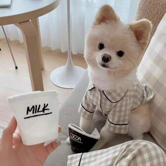 Ropa de dormir para mascotas para primavera y otoño, suministros diarios informales para mascotas