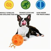 1件装宠物畅销狗狗玩具，乳胶材质，可缓解无聊，带吱吱声，互动式耐咬磨牙玩具，水上玩具 - 彩色 - 查看 3