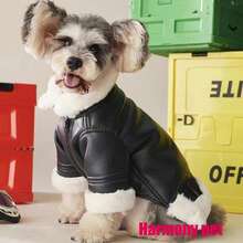 新品，狗狗衣服，狗狗背心，狗狗皮衣，宠物服装，秋冬狗狗保暖服装，帅气狗狗服装，狗狗外套，宠物外套，老鹰图案（材质为皮革和毛绒） - 黑色 - 查看 6
