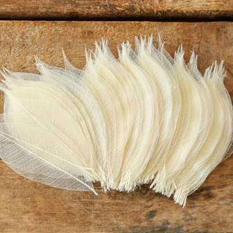 100pcs Leaf Skeleton Set, White Rubber Tree Stems For Scrapbooking Decorations, Wedding Party Tabletop Decor, DIY Craft Kit, Bouquet