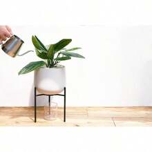 Plant Cages & Supports