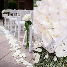 Ivory Petals 1000 PCS Petals Wedding,Engagement, Proposal .Artificial Flower Petals Anniversary, Valentine's Day, Banquet,Party.(Ivory) - Rượu sâm banh - Xem 6