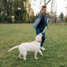 Dog Teaser Pole Wand Outdoor Interactive Flirt Pole Training Fun Toy Extendable - Black - View 7
