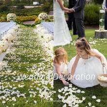 Ivory Petals 1000 PCS Petals Wedding,Engagement, Proposal .Artificial Flower Petals Anniversary, Valentine's Day, Banquet,Party.(Ivory) - Rượu sâm banh - Xem 8