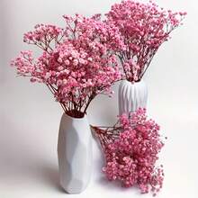 100pcs Pink Baby's Breath Dried Flower Bouquets, Everlasting Flowers, Dried Flowers, DIY Handmade Materials, Home Decoration, Wedding Arrangements - Hồng - Xem 2