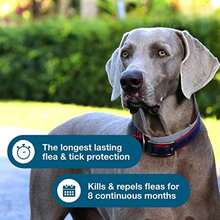 1 Pack Flea & Tick Collar For Large Dogs Over 18 Lbs, 8-Month Protection, Plant-Based Formula, Waterproof & Odorless, Vet-Inspired Design - 1 Pack - 查看 8