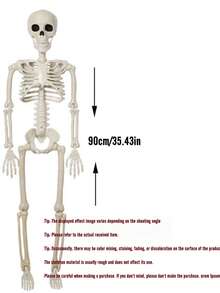 36 Inch Realistic Halloween Skeleton With Fully Posable Joints, Perfect For Indoor, Outdoor, Garden, Home Party, Cemetery And Haunted House Prop Decoration - Multicolor - View 9