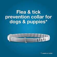 2 Pack Flea & Tick Collar For Large Dogs Over 18 Lbs, 8-Month Protection, Plant-Based Formula, Waterproof & Odorless, Vet-Inspired Design - 2 Pack - View 4