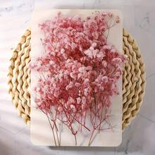 100pcs Pink Baby's Breath Dried Flower Bouquets, Everlasting Flowers, Dried Flowers, DIY Handmade Materials, Home Decoration, Wedding Arrangements - Hồng - Xem 12