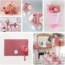 100pcs Pink Baby's Breath Dried Flower Bouquets, Everlasting Flowers, Dried Flowers, DIY Handmade Materials, Home Decoration, Wedding Arrangements - Hồng - Xem 4
