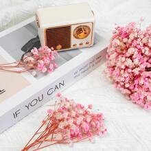 100pcs Pink Baby's Breath Dried Flower Bouquets, Everlasting Flowers, Dried Flowers, DIY Handmade Materials, Home Decoration, Wedding Arrangements - Hồng - Xem 6