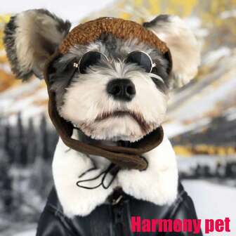 Nuevos artículos, ropa para perros, chalecos para perros, chaquetas de cuero para perros, ropa para mascotas, ropa abrigada para perros para otoño e invierno, ropa elegante para perros, abrigo para perros, abrigo para mascotas, estampado de águila (los materiales son cuero y peluche)