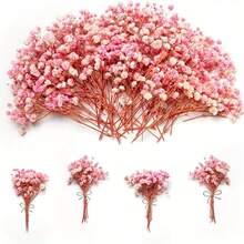 100pcs Pink Baby's Breath Dried Flower Bouquets, Everlasting Flowers, Dried Flowers, DIY Handmade Materials, Home Decoration, Wedding Arrangements - Hồng - Xem 7