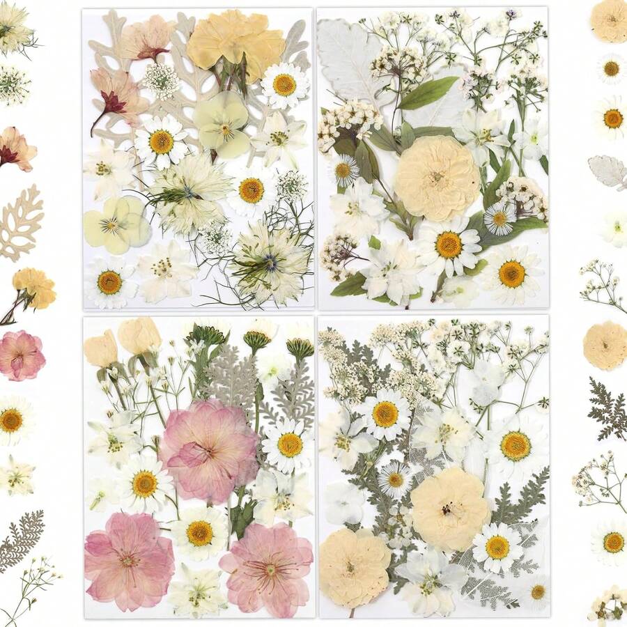 80 Pcs Dried Flowers Crafts, Real Natural Dried Pressed Flowers In Soft Yellow, White & Pink Tones Resin, Art, Jewelry, Candle & Soap Making – Tweezers Included - Đồng 100 xu lớn màu hồng và cam - Xem 1