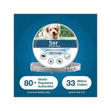 1 Pack Flea & Tick Collar For Small Dogs Over 18 Lbs, 8-Month Protection, Plant-Based Formula, Waterproof & Odorless, Vet-Inspired Design - 1 gói - Xem 6