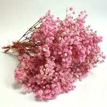 100pcs Pink Baby's Breath Dried Flower Bouquets, Everlasting Flowers, Dried Flowers, DIY Handmade Materials, Home Decoration, Wedding Arrangements - Hồng - Xem 1