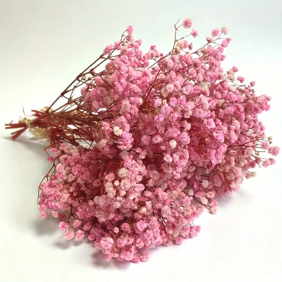 100pcs Pink Baby's Breath Dried Flower Bouquets, Everlasting Flowers, Dried Flowers, DIY Handmade Materials, Home Decoration, Wedding Arrangements - Hồng - Xem 1